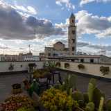 ...oltre a contemplare l�alto campanile della Cattedrale...